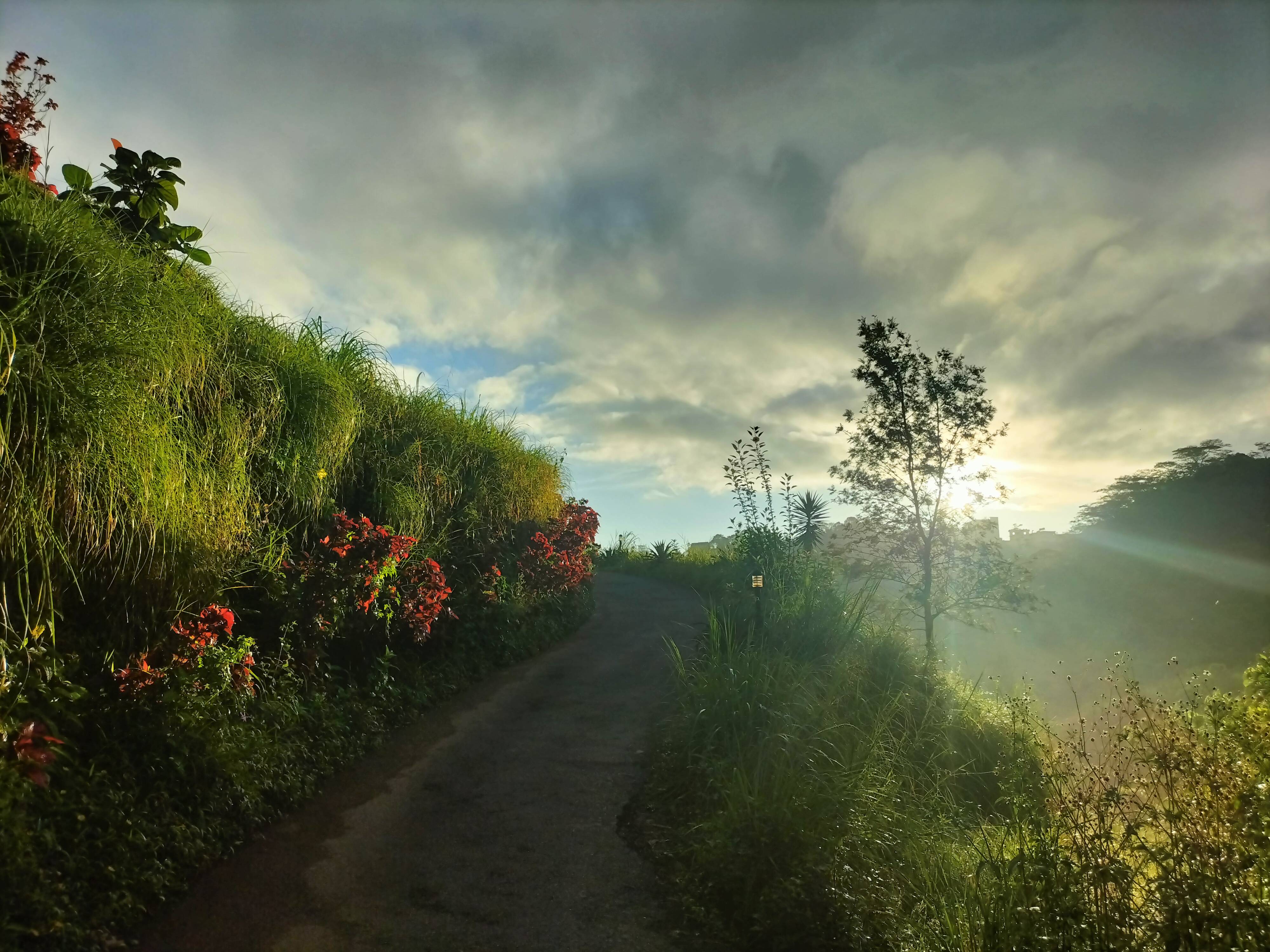 I Planned a 5-Day Trip to Vagamon. The Unexpected Happened – a String of Disappointments